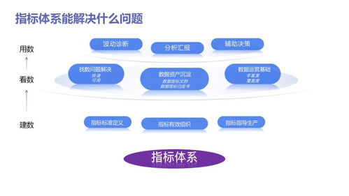 數(shù)據(jù)分析實戰(zhàn)寶典 從入門到精通，驅動業(yè)務增長